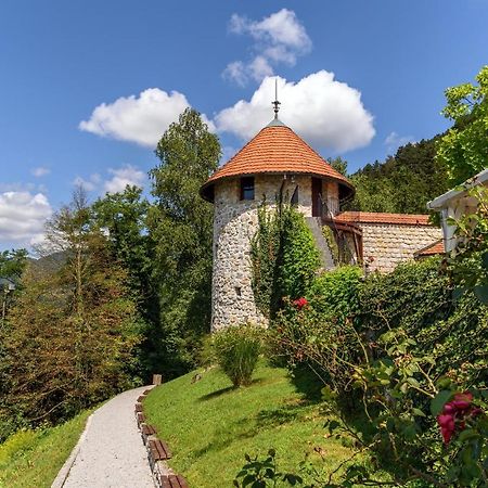 Villa Aina Boutique Hotel Laško Εξωτερικό φωτογραφία