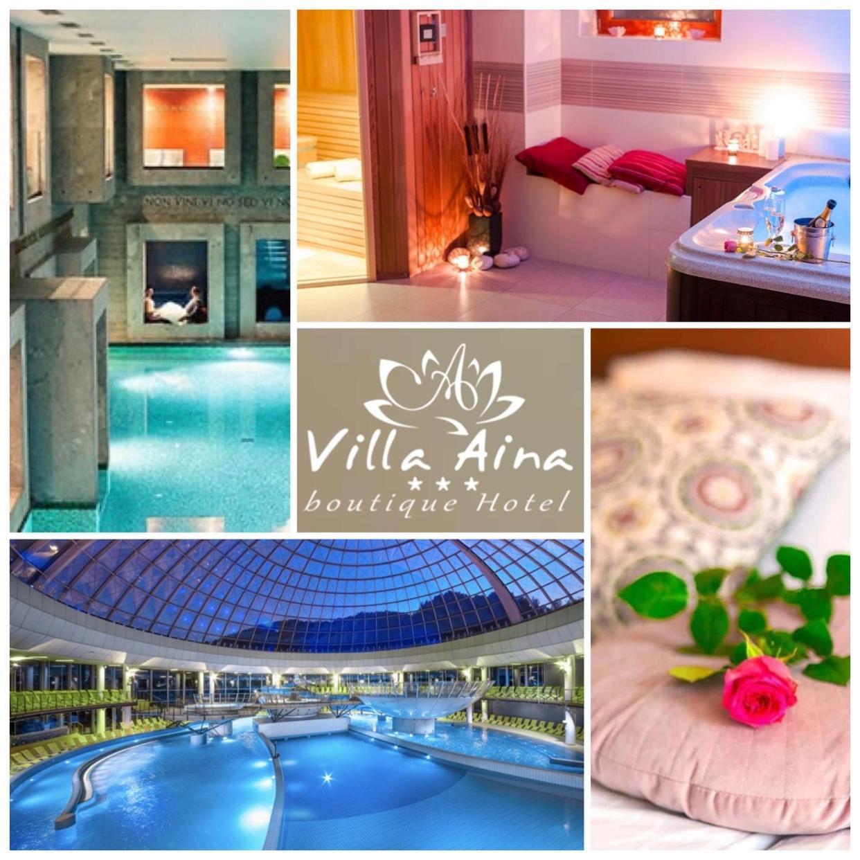 Villa Aina Boutique Hotel Laško Εξωτερικό φωτογραφία